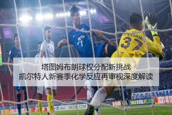 塔图姆布朗球权分配新挑战 凯尔特人新赛季化学反应再审视深度解读